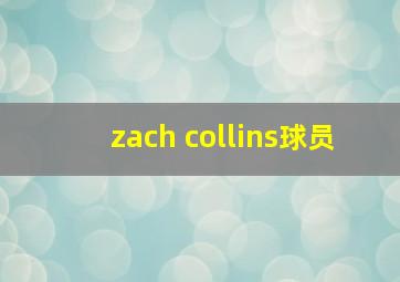 zach collins球员